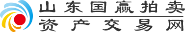 山东国赢拍卖资产交易网 - logo